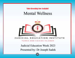 MENTAL WELLNESS